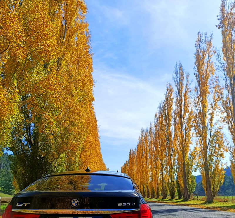 Gould memorial drive is one of the things you can do in Marysville for a 1 full day of Attractions.